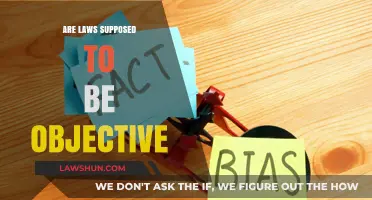 Are Laws Truly Objective? Exploring the Balance Between Fairness and Bias