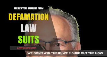 Can Lawyers Be Sued for Defamation? Legal Immunity Explained
