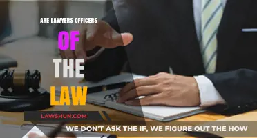 Are Lawyers Officers of the Law? Understanding Their Legal Role