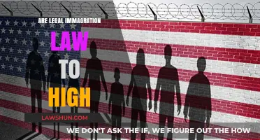 Are Legal Immigration Laws Too High? Examining Barriers and Impacts