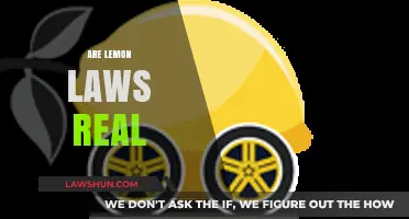 Are Lemon Laws Real? Unraveling the Truth Behind Consumer Protections