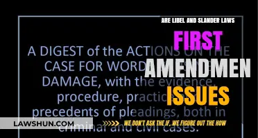 Libel & Slander Laws: Free Speech Boundaries?