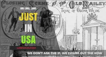 Are U.S. Libel Laws Fair? Exploring Justice and Free Speech