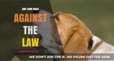 Are Loud Dogs Illegal? Understanding Noise Laws and Pet Ownership