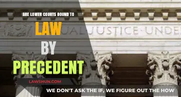 Are Lower Courts Bound by Precedent? Exploring Judicial Hierarchy and Obligations