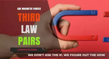 Magnetic Forces and Newton's Third Law: Unraveling the Pairing Mystery