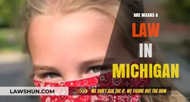 Are Masks Mandatory in Michigan? Understanding the Current Legal Status