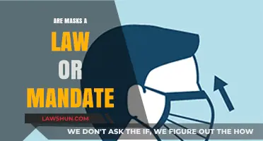 Mask Mandates: Legal Requirements or Public Health Recommendations Explained