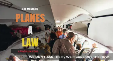Are Masks on Planes Legally Required? Understanding Current Aviation Rules
