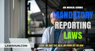 Medical Scribes and Mandatory Reporting Laws: What You Need to Know