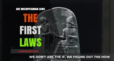 Mesopotamian Laws: Were They the First Legal Codes?