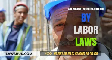 Migrant Workers' Rights: Are They Protected by Labor Laws?