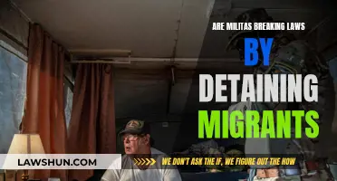 Militias, Migrants, and the Law: Who's Breaking What?