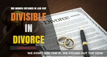 Dividing Lawsuit Settlements: Are Monies Obtained in Divorce Divisible?