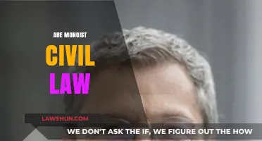 Exploring the Concept of Monism in Civil Law Systems