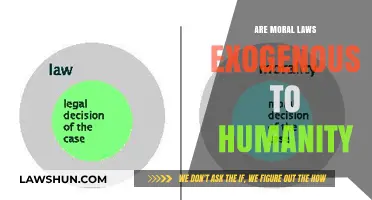 Are Moral Laws Externally Imposed or Inherent to Human Nature?