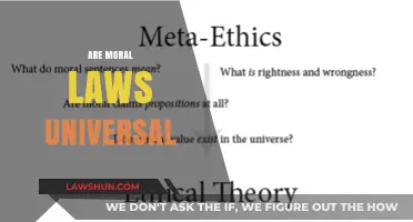 Moral Laws: Are They Universal or Relative?
