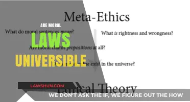 Moral Laws: Universal or Not?