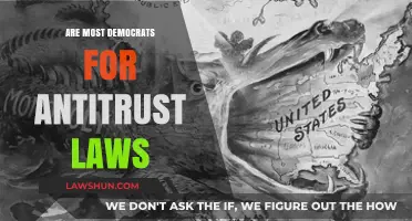 Do Democrats Support Antitrust Laws? Exploring the Party's Stance