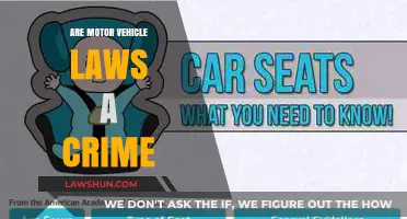 Are Motor Vehicle Laws Criminal? Exploring Legal Boundaries and Consequences