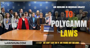 Polygamy Laws in Michigan: How Do They Affect Muslim Communities?