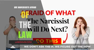 Are Narcissists Afraid of the Law? Unraveling Legal Fear Dynamics