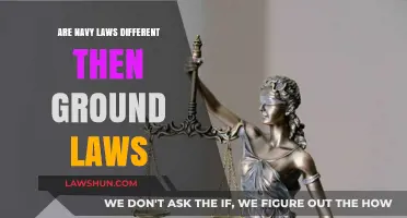 Navy Laws: Distinct from Ground Laws?
