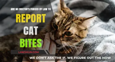 NC Law: Are Doctors Required to Report Cat Bites?