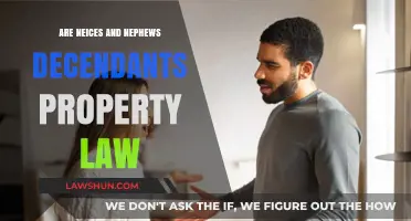 Nieces and Nephews: Descendants' Rights in Property Law Explained