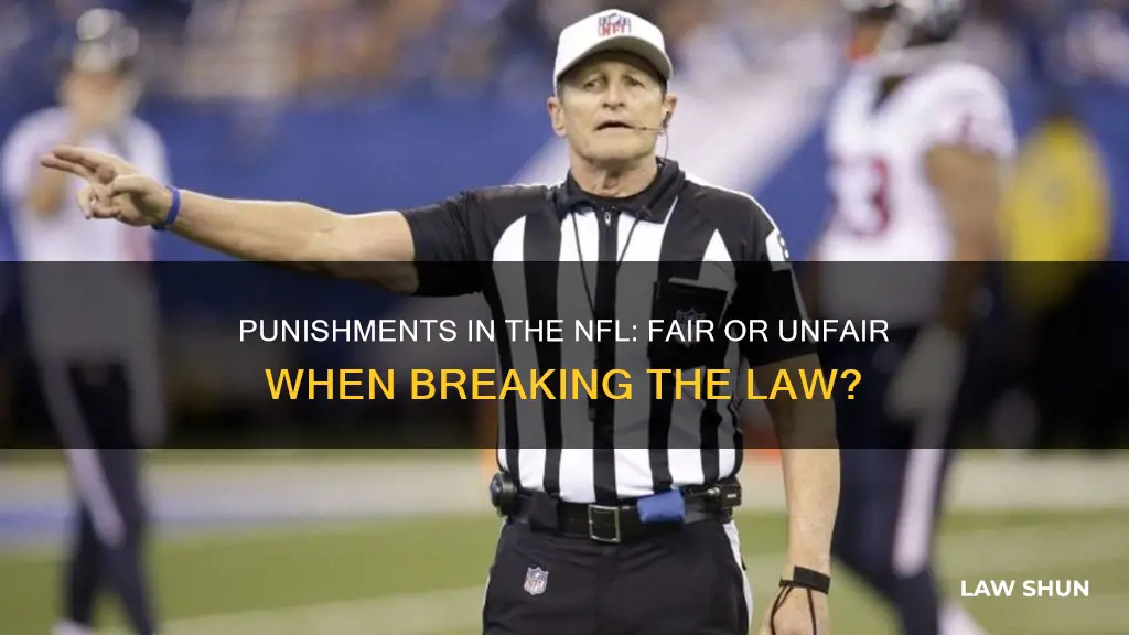 are nfl punishments fair when breaking the law