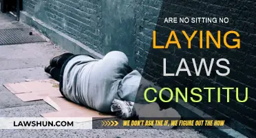 Sitting and Laying Laws: Are They Constitutional?