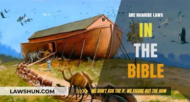 Exploring Noahide Laws: Biblical Origins and Their Modern Relevance