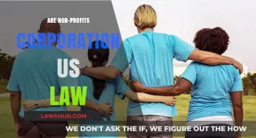 Understanding Non-Profit Corporations: Legal Framework Under U.S. Law