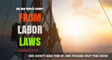 Are Non-Profits Exempt from Labor Laws? What You Need to Know