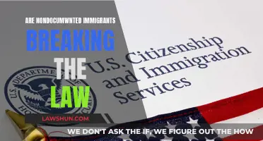 Undocumented Immigrants: Lawbreakers or Misunderstood?