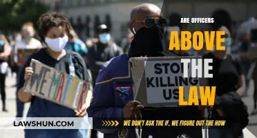 Are Officers Above the Law? Examining Police Accountability and Justice