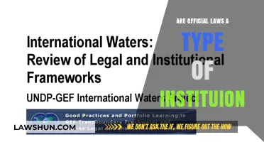 Are Official Laws Institutional Frameworks? Exploring Legal Systems as Institutions