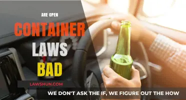 Are Open Container Laws Harmful or Necessary? A Critical Analysis