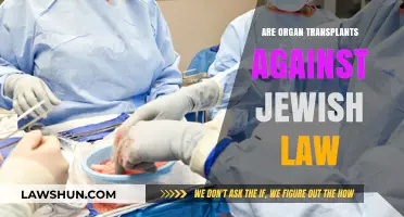 Organ Transplants and Jewish Law: Ethical Considerations and Halachic Perspectives