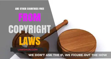 Exploring Global Copyright Laws: Are Some Countries Truly Copyright-Free?