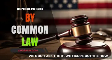 Patent Protection: Common Law vs. Statutory Law