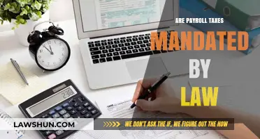 Payroll Taxes: Understanding Legal Requirements