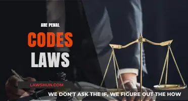 Are Penal Codes Laws? Understanding Legal Frameworks and Their Role