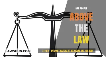 Are People Above the Law? Exploring Privilege, Power, and Accountability