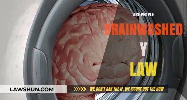 Are Laws Brainwashing Society? Exploring the Power of Legal Influence