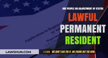 Understanding Adjustment of Status: Are Applicants Lawful Permanent Residents?