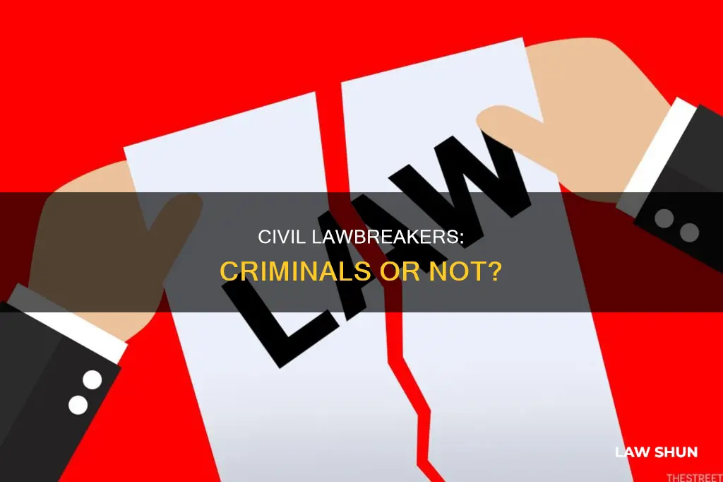 are people that break civil laws considered criminals