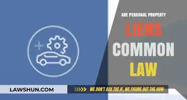 Personal Property Liens: Common Law or Not?