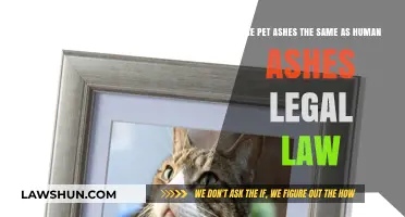 Pet vs. Human Ashes: Legal Differences and Laws Explained