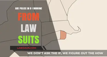 Are Rhode Island Police Shielded from Civil Lawsuits?